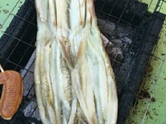 -小象钓虾·营地烧烤(洛溪店)