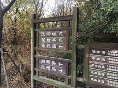 -巢湖姥山岛