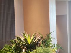 -奈雪的茶(华强北中航城店)