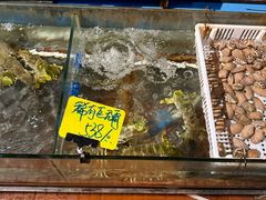 -辉记炭烧海鲜大排档·老字号(福田店)