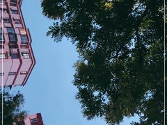 -金掌勺东北菜(格兰晴天店)