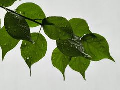 -杭州黄龙洞
