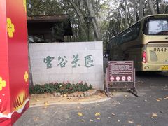 -灵谷景区