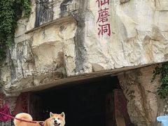 -仙蘑洞