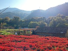 -广州市石门国家森林公园
