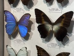 -吉林省自然博物馆