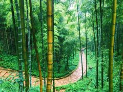 -径山寺