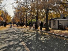 -农家铁锅炖(太阳沟店)