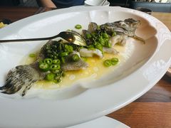 -CHIC1699远洋私厨
