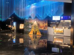 -奥斯卡升龙国际影城(RealD Cinema)