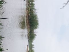 -宁波杭州湾国家湿地公园