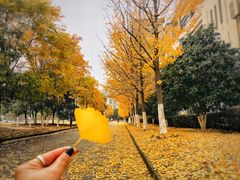 -江南大学(蠡湖校区)