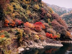 -岚山嵯峨野观光小火车