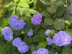 -Supine Bistro溯泮餐厅