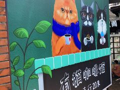 -有猫主题·治愈系猫咖(曾厝垵店)