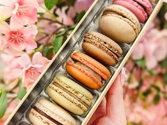 -Pierre Marcolini(德基广场店)