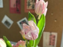 -沈阳铁西万象汇
