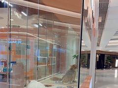 -三花喵·撸猫购宠·宠物生活馆(虹桥南丰城店)