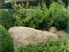 -徐记海鲜(曲江南湖店)