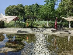 -洪湖家庭农场·团建·露营·会议
