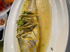 -老洋房花园饭店(绍兴路店)