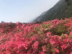 -木兰云雾山