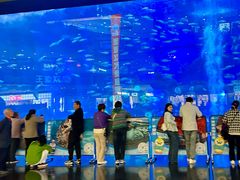 -成都浩海立方海洋公园