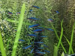 -上海海洋水族馆