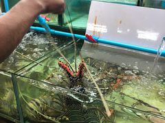 -班赞海鲜市场