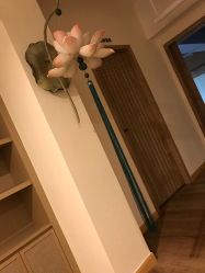 -嘉悦瑜伽会所