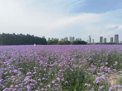 -蠡湖大桥公园
