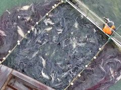 -南京金牛湖风景区