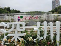 -深圳国际园林花卉博览园