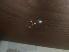 -海合安武汉极地海洋公园