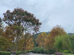 -阿哈湖国家湿地公园