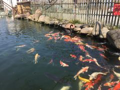 -湖鲜楼