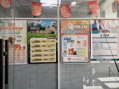 -瑞派长江宠物医院·猫科·外科·24小时夜护(谊城公寓分院)