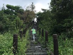 -田心森林公园