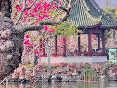 -无锡蠡湖国家湿地公园-蠡园