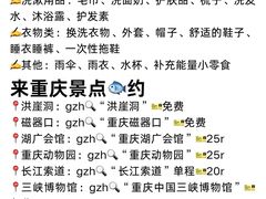 -烤匠麻辣烤鱼(观音桥大融城店)