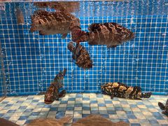 -蓝钻·国际美食海鲜自助百汇(西直门店)