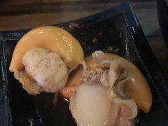 扇贝-丽江庭院之爱在路上(西单店)