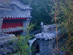 -老张烤羊(王哥庄店)