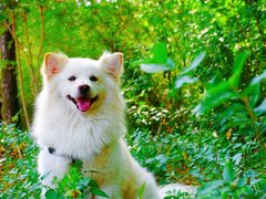 -钟山体育运动公园