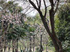 -堤角公园