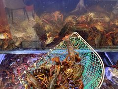 -虾铺子龙虾·私房菜(金源花苑店)