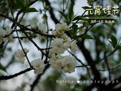 -南国桃园旅游度假区