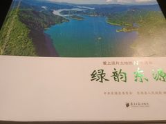 -河源万绿湖美思威尔顿酒店