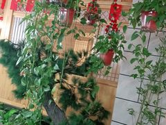-九田家黑牛烤肉料理·自助(洪洞县城市花园店)