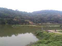 -南国桃园旅游度假区